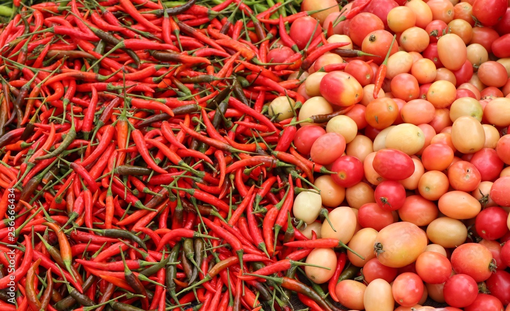 Sell chilli with vegetable at market