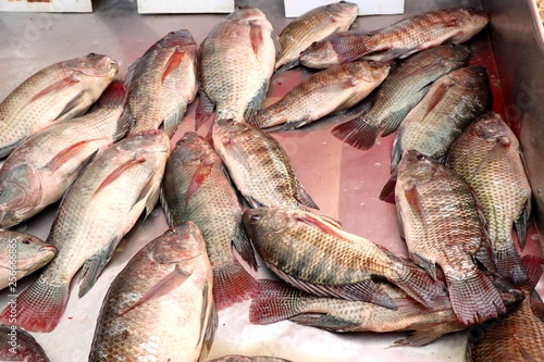 fresh fish in market