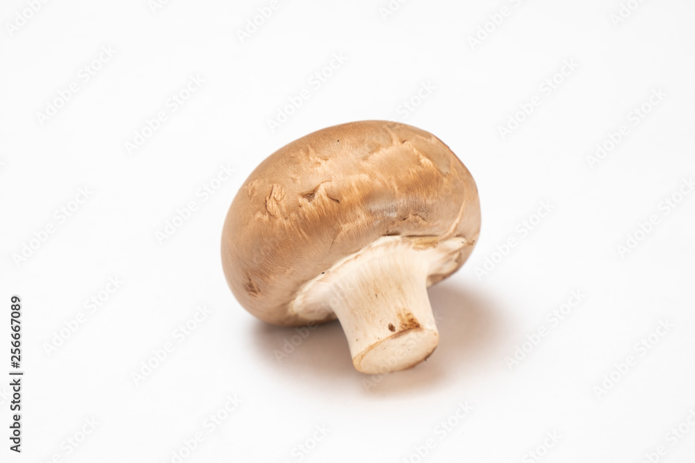 mushrooms mushrooms
