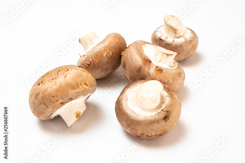 mushrooms on a plain white table