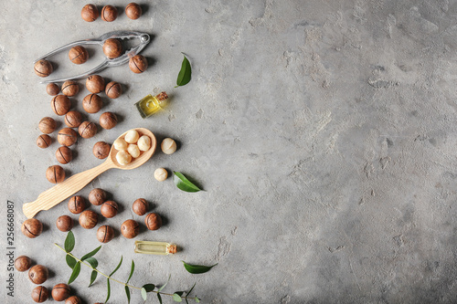 Slika na platnu Macadamia nuts with oil on grey background