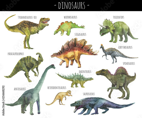 Watercolor set of hand drawn realistic dinosaurus. Realistic dino rex, spinosaurus,corhythosaurus,triceratops,stegosaurus,apatosaurus,saurosuchus,parasaurolophus etc