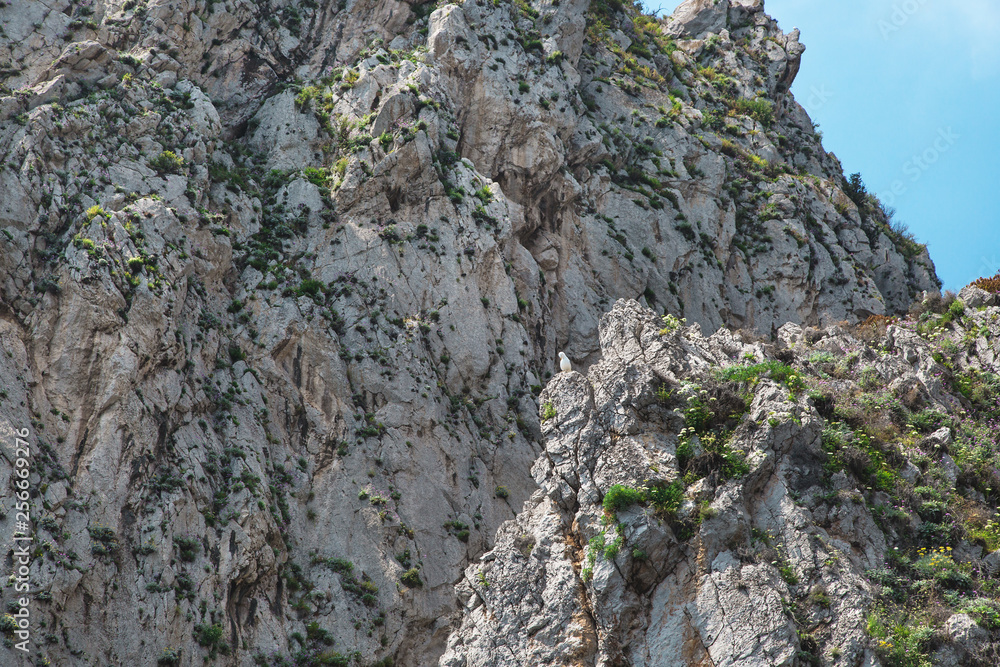 Close up on rocks on Capri island coast. Italy.