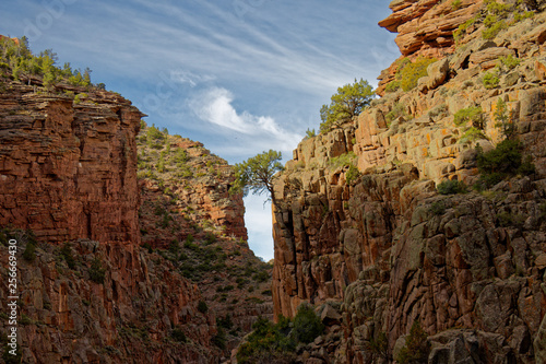 Fremont Canyon