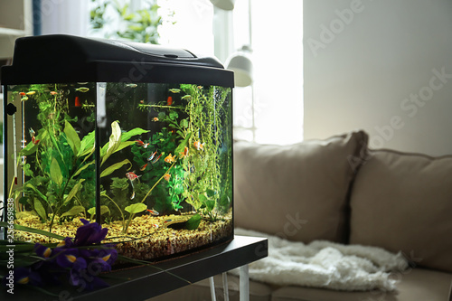 Obraz na płótnie Beautiful aquarium on table in room