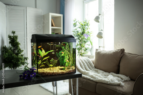 Beautiful aquarium on table...