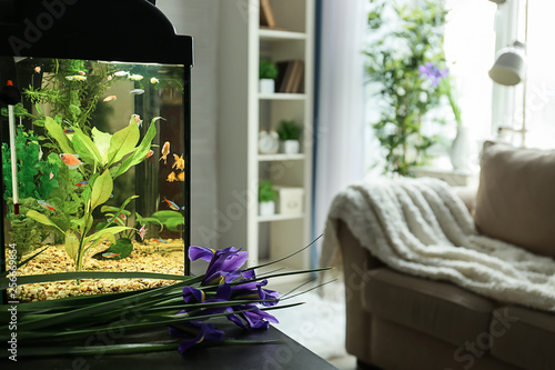 Beautiful aquarium on table...