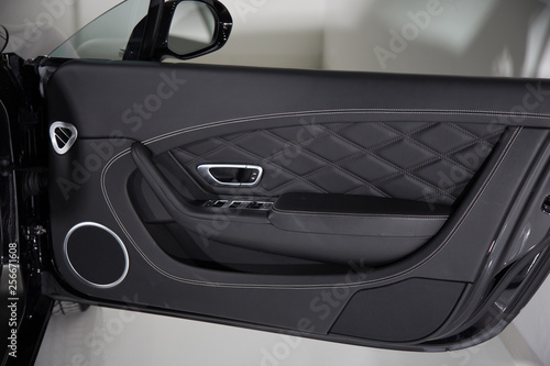 Leather trim car door panel