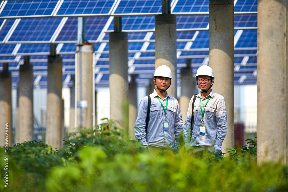 Young Asian engineer inspecting solar photovoltaic district Young Asian engineer inspecting solar photovoltaic district