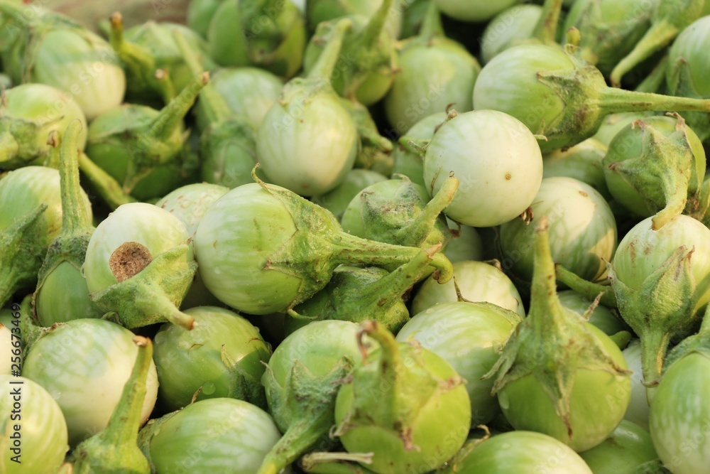 Fresh eggplant green organic at street food Fresh eggplant green organic at street food