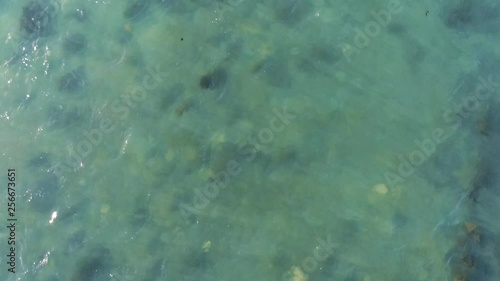 Over water ariel view green sea and seaweed drone photo