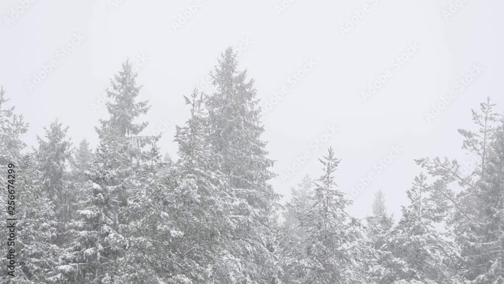 Snowfall in the Swedish mountains Snowfall in the Swedish mountains