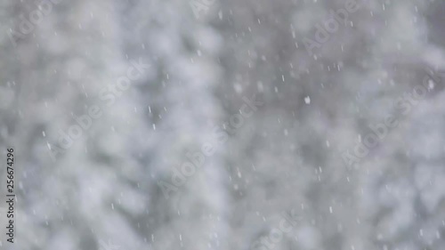 Snowfall in the Swedish mountains photo