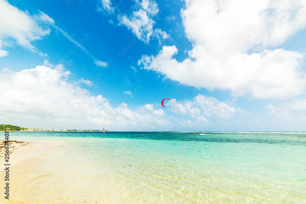Fototapeta premium Kite surfer in Guadeloupe