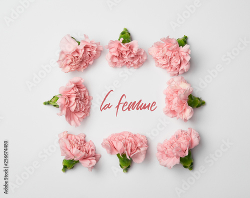 Fototapeta Naklejka Na Ścianę i Meble -  top view of floral frame made of pink carnations on white background with la femme lettering