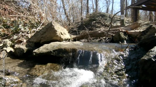 A stroll through the Raytown public park. photo