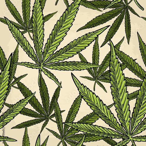Seamless pattern with marijuana leaf. Vintage black vector engraving illustration