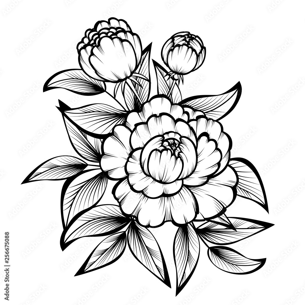 Fototapeta premium Branch of roses