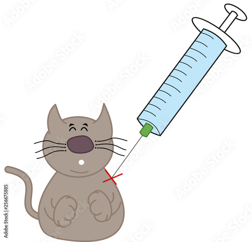 a cat who gets vaccinated with a syringe