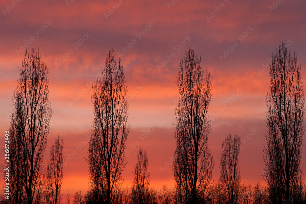 tramonto d'inverno tramonto d'inverno