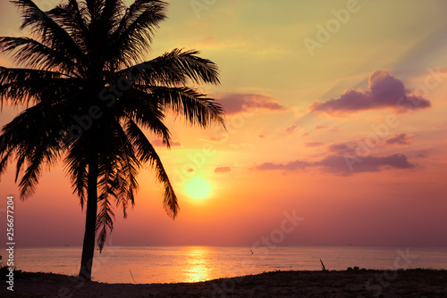 sunset on the beach