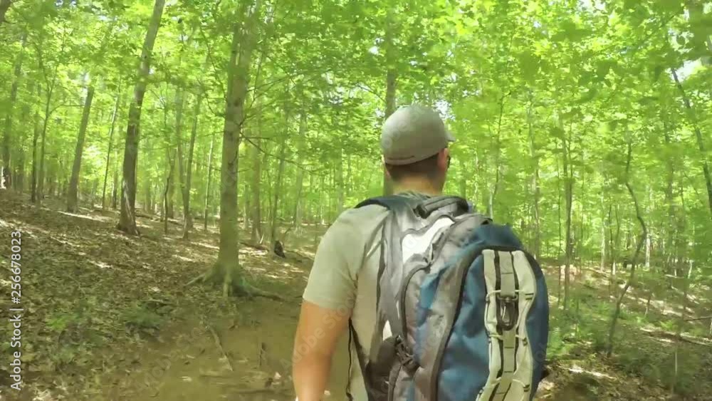 Man hiking through forest Man hiking through forest