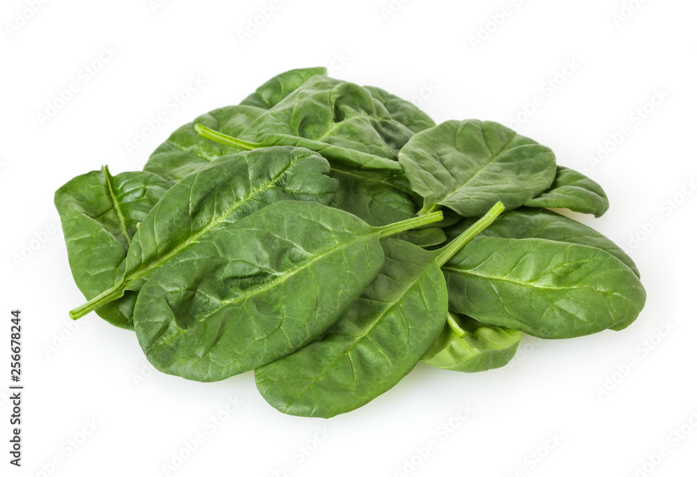 Fresh spinach leafs isolated on white background Fresh spinach leafs isolated on white background