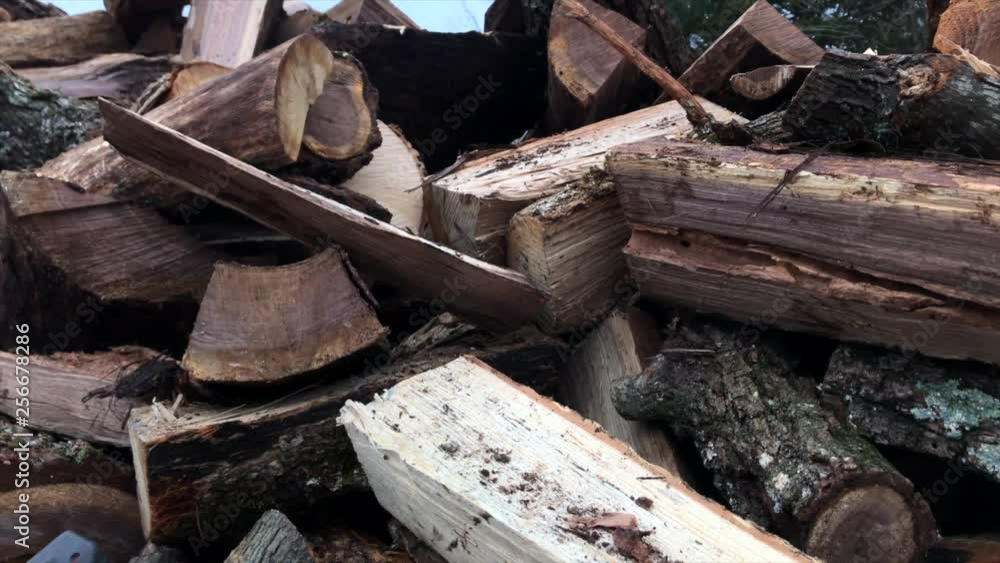 Left to right pan of an unstacked firewood pile Left to right pan of an unstacked firewood pile