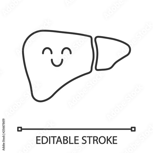 Smiling liver linear icon