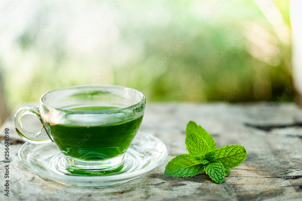 Mint freshly in glass on wood table with burred Background Mint freshly in glass on wood table with burred Background