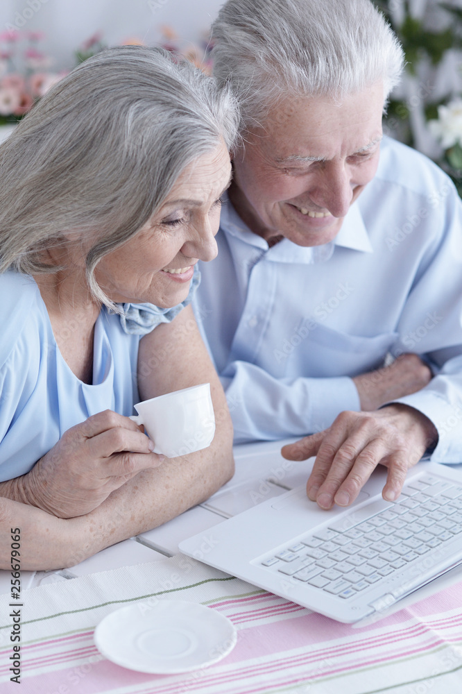 Happy senior couple portrait drinking tea and using laptop Happy senior couple portrait drinking tea and using laptop