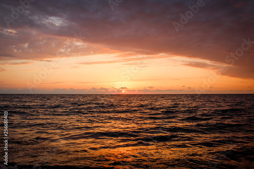 Golden, Fiery sunset on the Black Sea, on the beach. Coast, stones, waves, sun, beautiful sky, clouds. August, Batumi, Georgia. Water, lightness, play. Pink, lilac, crimson © Sea_Inside_Soul
