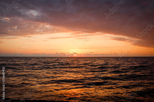 Golden  Fiery sunset on the Black Sea  on the beach. Coast  stones  waves  sun  beautiful sky  clouds. August  Batumi  Georgia. Water  lightness  play. Pink  lilac  crimson