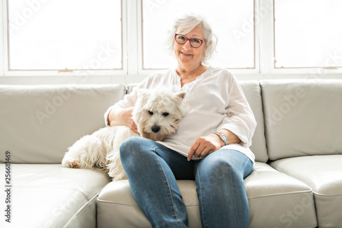 The Therapy pet on couch next to elderly person in retirement rest home for seniors