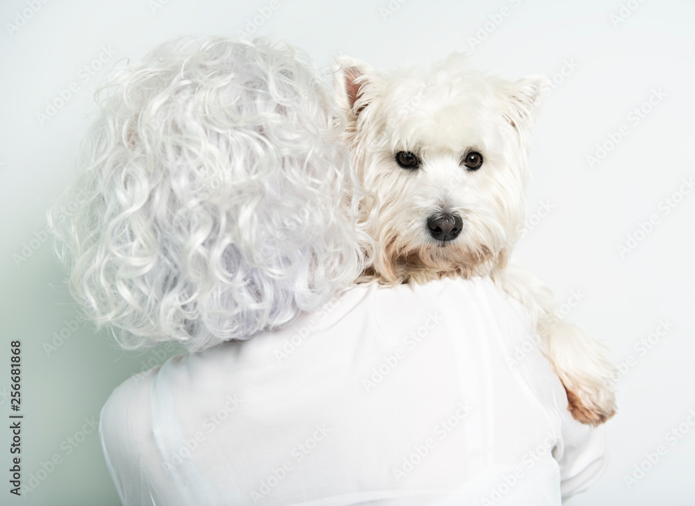 The Therapy pet on couch next to elderly person in retirement rest home for seniors The Therapy pet on couch next to elderly person in retirement rest home for seniors