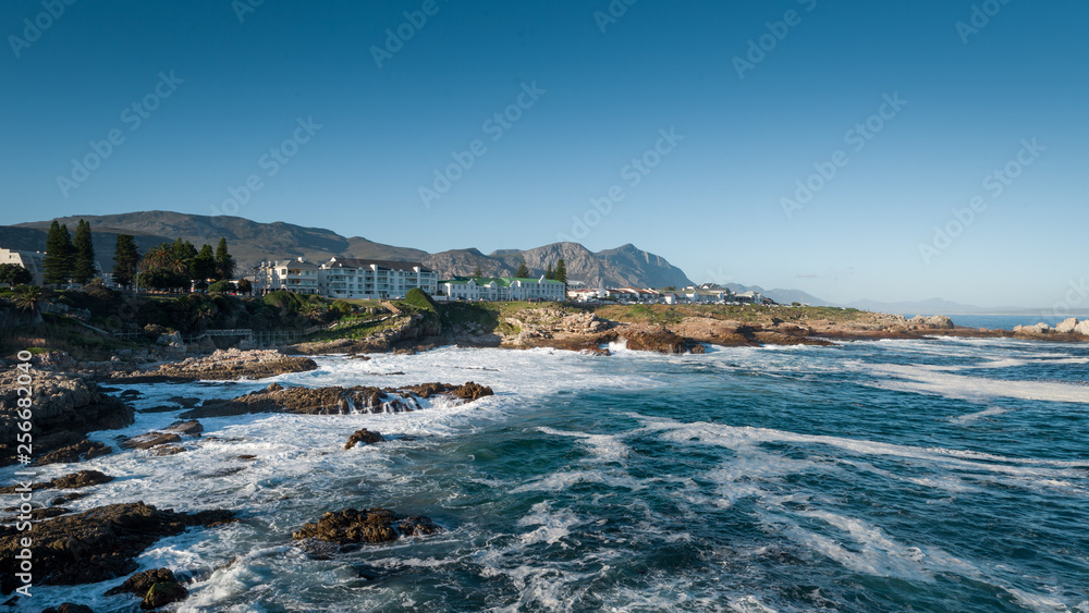 Fototapeta premium Hermanus coast, South Africa