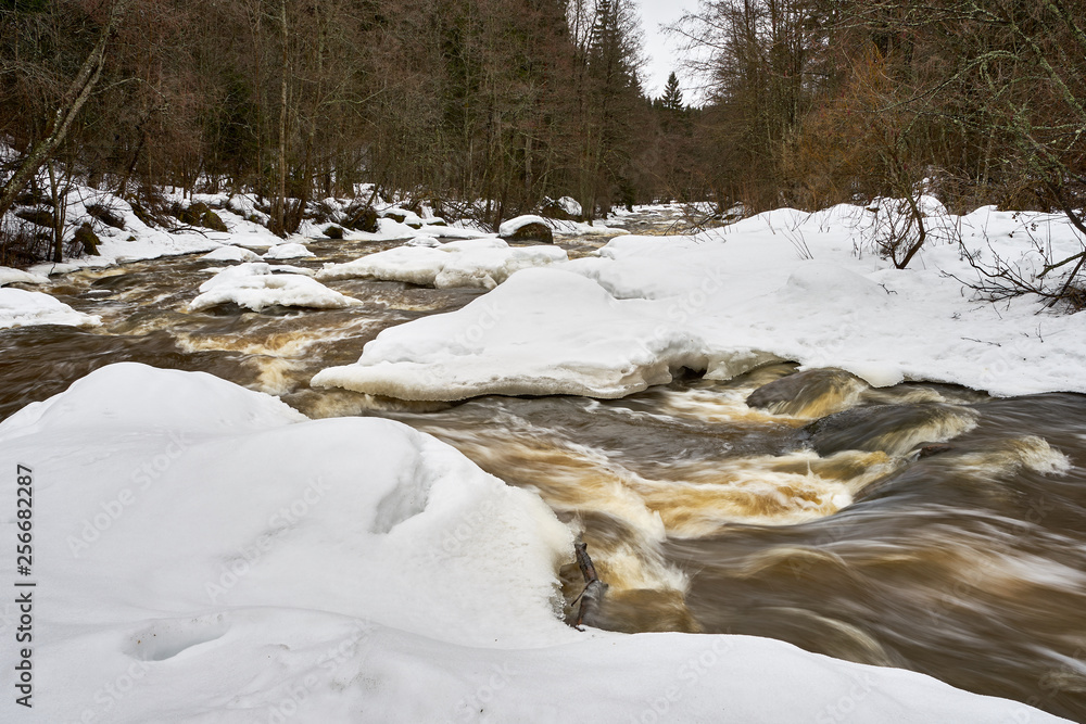 Fototapeta premium Stream flows free after winter