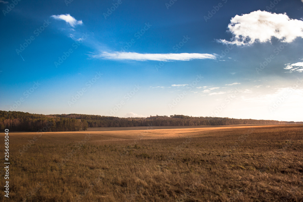 spring field grass, clouds on a background of blue sky spring field grass, clouds on a background of blue sky