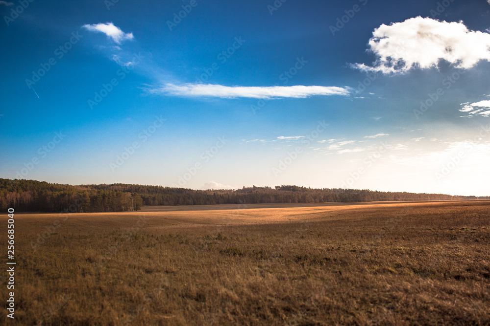 spring field grass, clouds on a background of blue sky