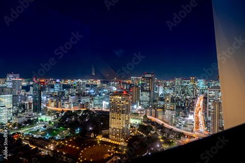 Japan cityscape bird eye view at night