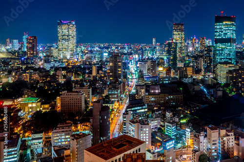 Japan cityscape bird eye view at night © Sommart Sopon
