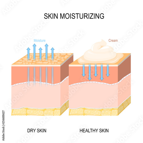 Skin moisturizing. Dry and healthy skin with cream, foam or lotion.