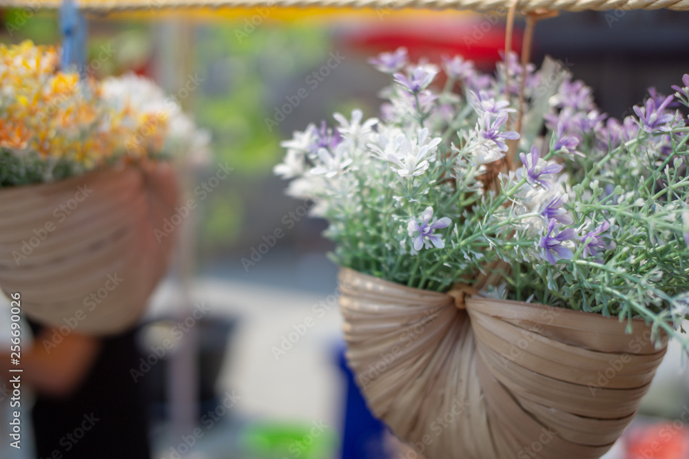 Fototapeta premium close up bouquet of purple flowers