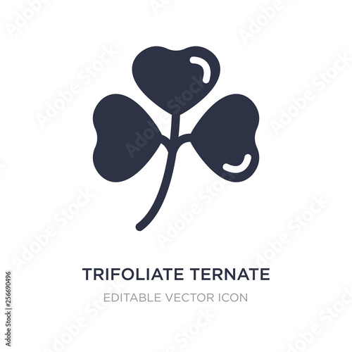 trifoliate ternate icon on white background. Simple element illustration from Nature concept.