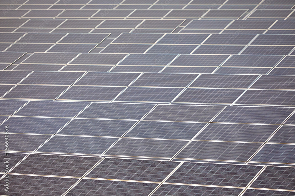 Solar photovoltaic panel detail close-up Solar photovoltaic panel detail close-up
