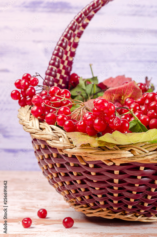 viburnum bunch basket fragment viburnum bunch basket fragment