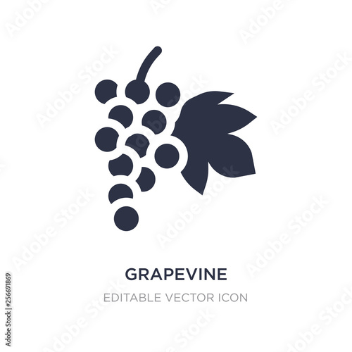 grapevine icon on white background. Simple element illustration from Nature concept.