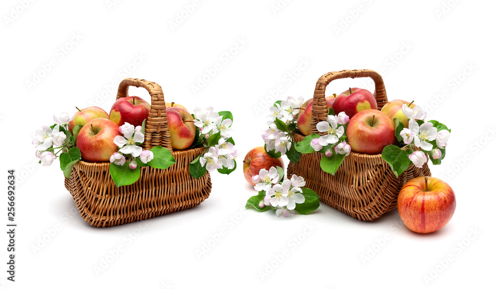 Apples and apple-tree flowers in a basket on a white background Apples and apple-tree flowers in a basket on a white background