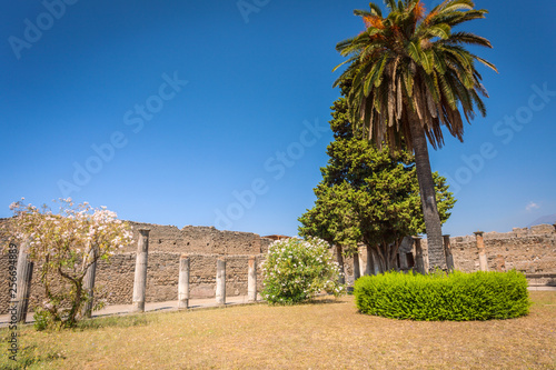 Ruins of Pompeii fragment of courtyard with columns