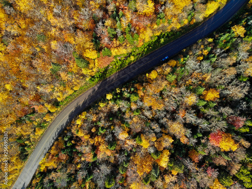 Canadian autumn, aerial view